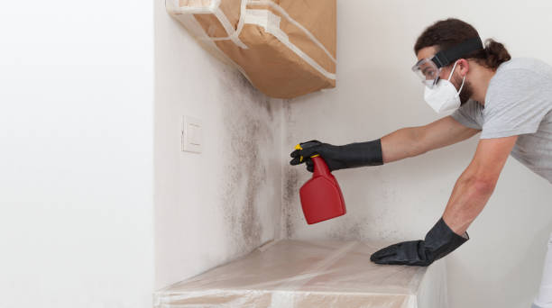 Professional Black Mold Remediation technician working in Henderson, GA
