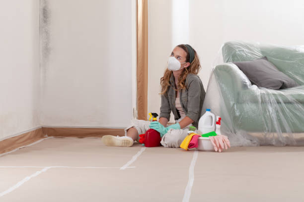 Reliable Black Mold Remediation contractor in Henderson, GA by 24 Hour Mold Removal